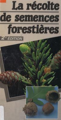 La récolte de semences forestières